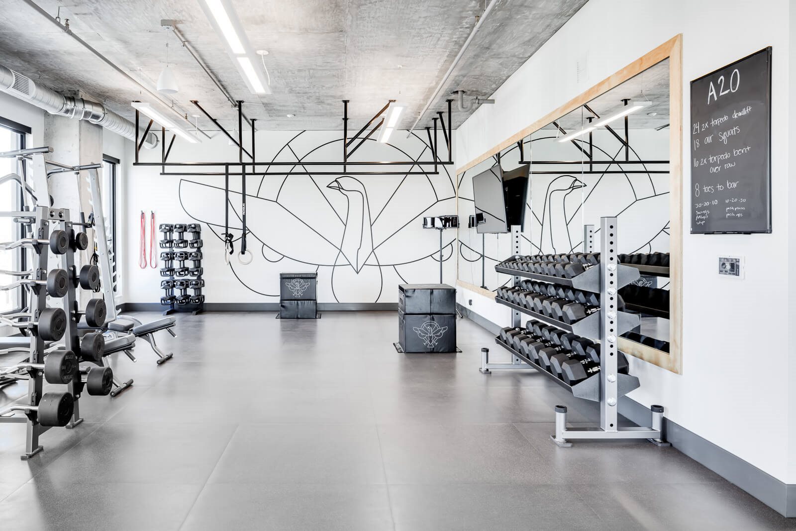 Fitness area with Alchemy365 equipment and programming